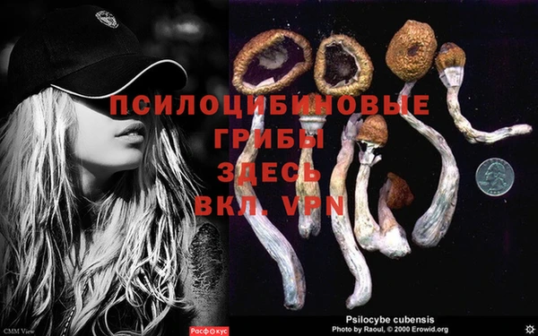 соль ск Армянск