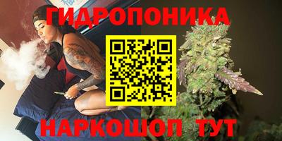 spice Обь