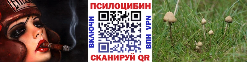 Псилоцибиновые грибы MAGIC MUSHROOMS  Пенза 
