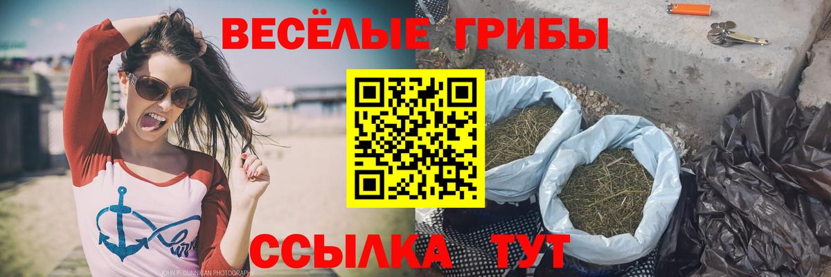 Псилоцибиновые грибы ЛСД Пенза